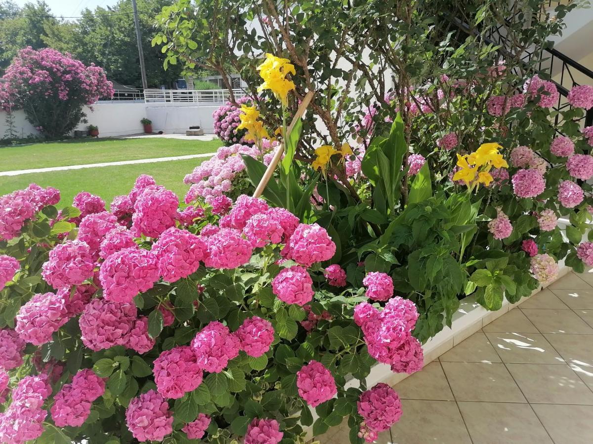 Palatino Studios Agia Paraskevi  Exterior foto