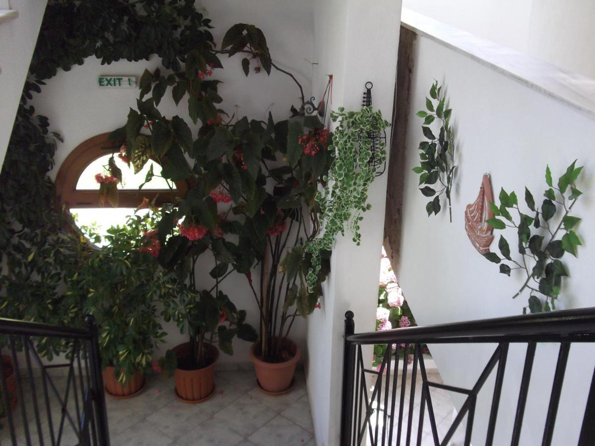 Palatino Studios Agia Paraskevi  Exterior foto