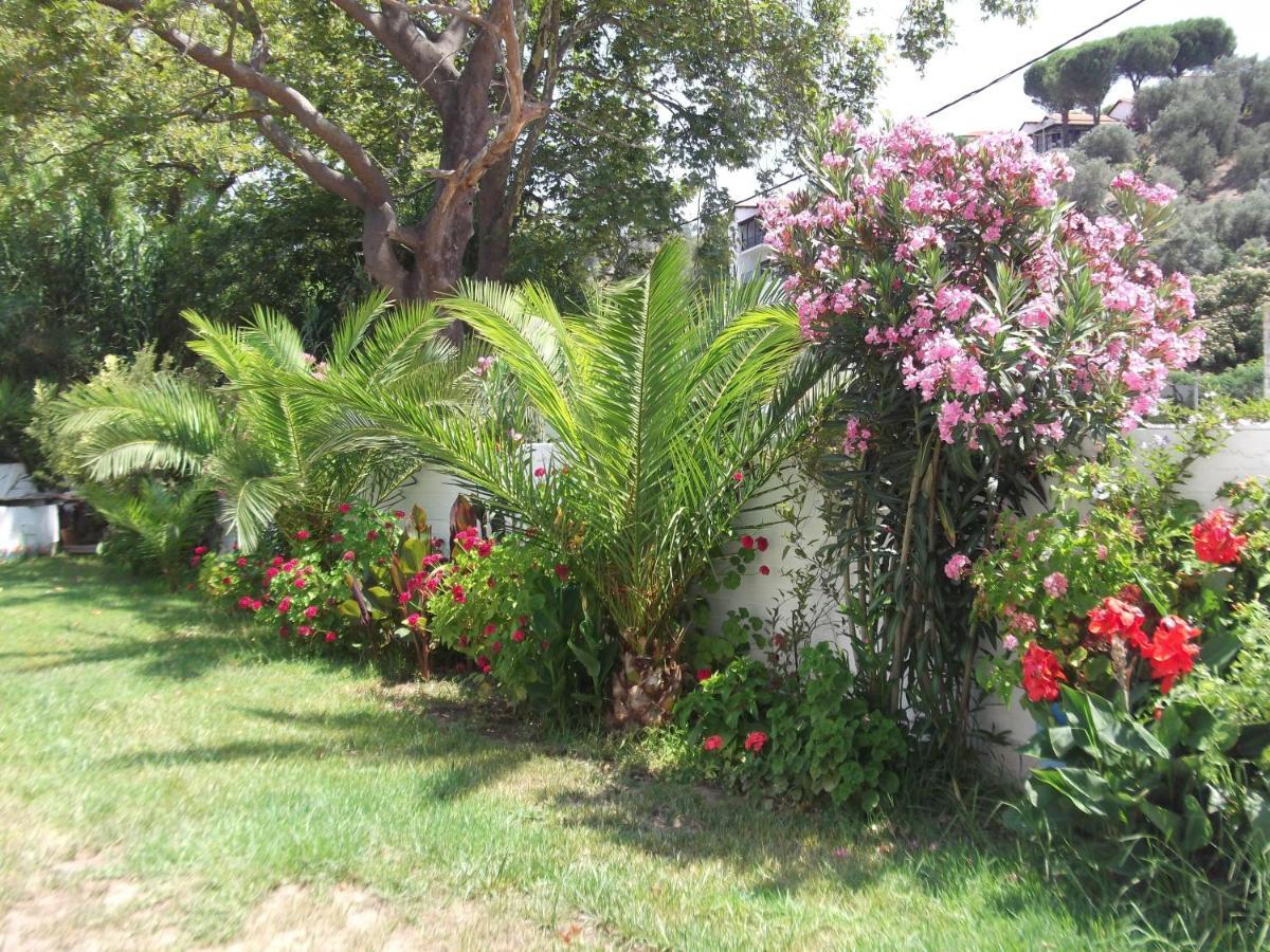 Palatino Studios Agia Paraskevi  Exterior foto